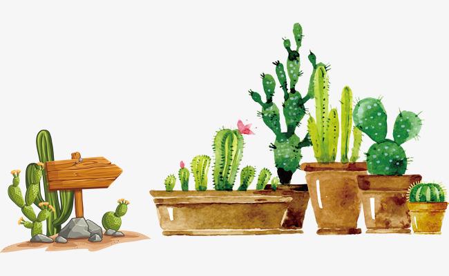 2019年福建成考會大改革嗎?