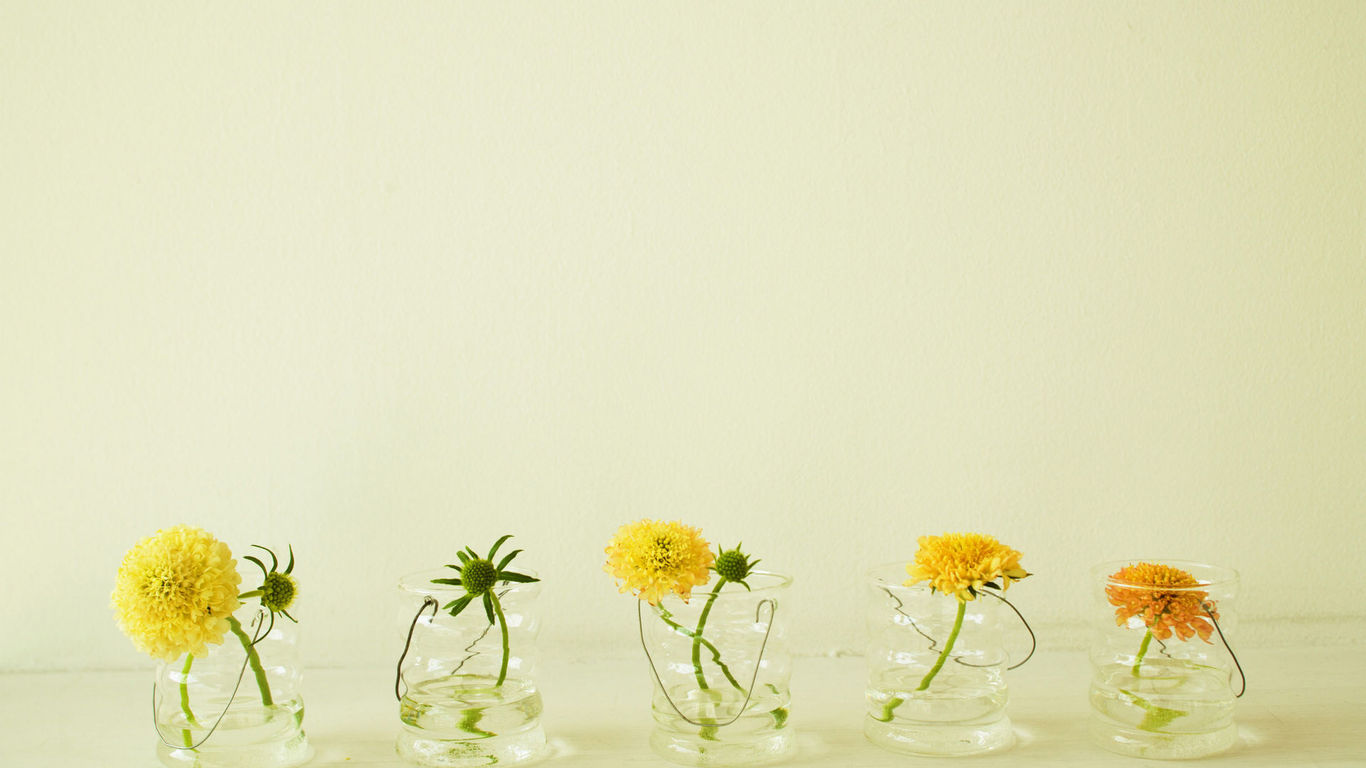 福建專升本 入學考試