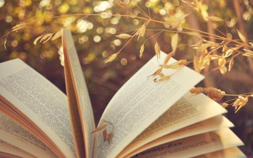 2019年寧德成人高考報考條件