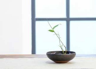 福建專升本：2020年泉州師范學院成人高考