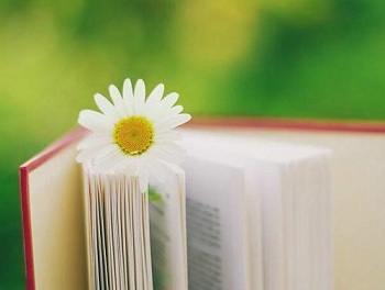 2019年福建成人高考網上報名時間及條件