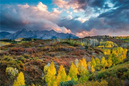 福建成考畢業(yè)時(shí)發(fā)什么樣的文憑？