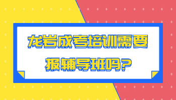 龍巖成考培訓